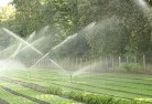 Toora Northlandscaping-water-management-and-drainage-17.jpg; ?>